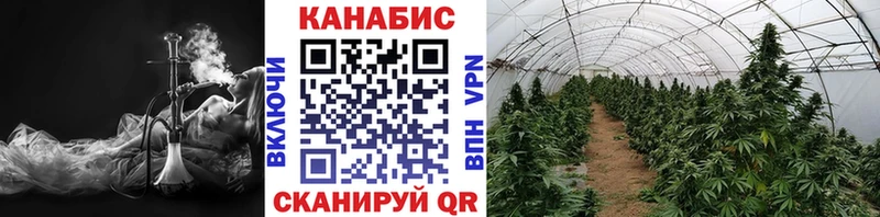 Галлюциногенные грибы Химки