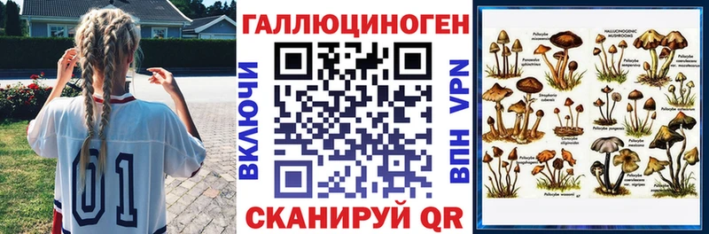 Галлюциногенные грибы Psilocybe  купить наркотики цена  Химки 
