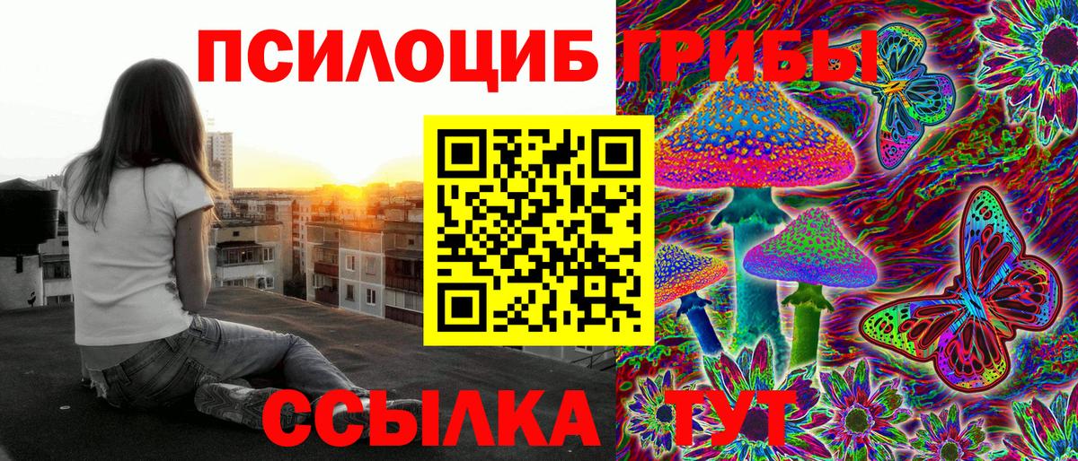 Псилоцибиновые грибы Cubensis  Химки 