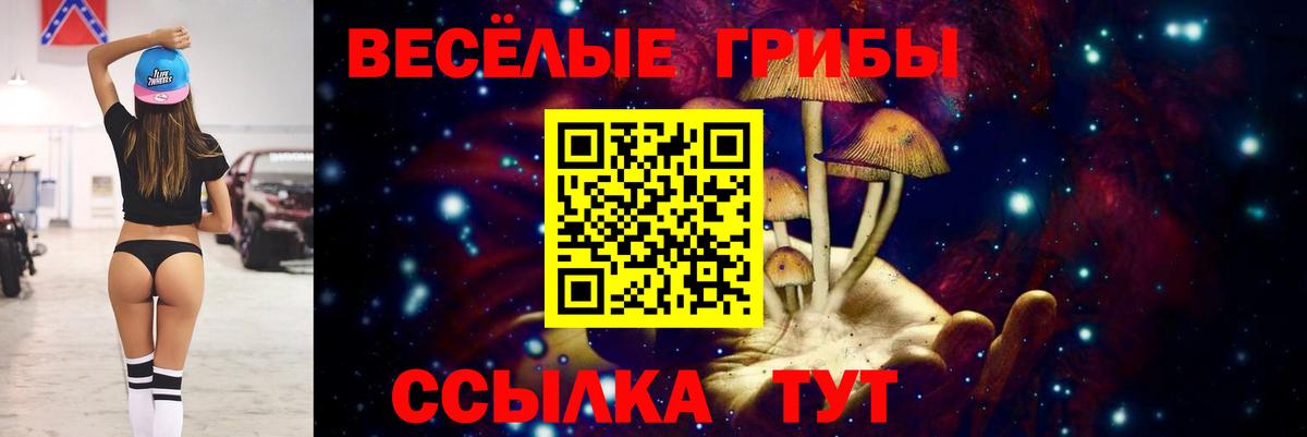 Галлюциногенные грибы Cubensis Химки